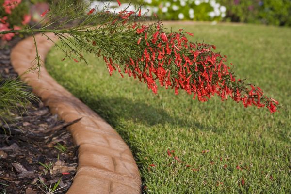Brick Edging in Buford
