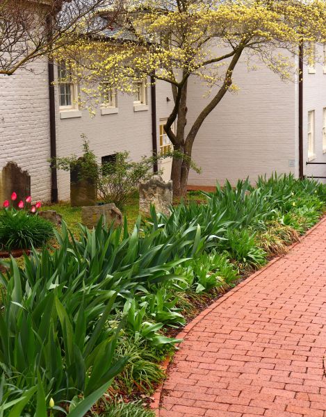 Brick Flatwork Repair in Buford
